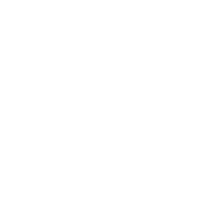 The North Face logo